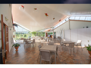 SALON DE EVENTOS AMBAR